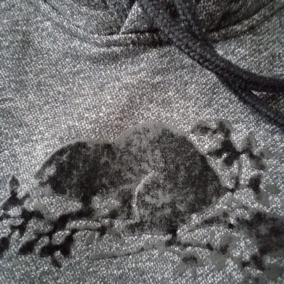 Roots Kanga pullover hoodie - Picture 5 of 11